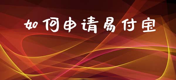如何申请易付宝_https://wap.lxcailiao.com_金融监管_第1张