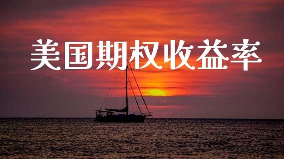 美国期权收益率_https://wap.lxcailiao.com_股权投资_第1张