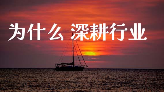 为什么 深耕行业_https://wap.lxcailiao.com_金融监管_第1张