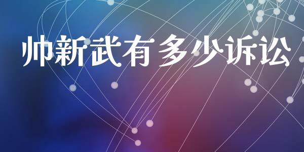 帅新武有多少诉讼_https://wap.lxcailiao.com_融资担保_第1张