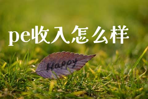 pe收入怎么样_https://wap.lxcailiao.com_股权投资_第1张