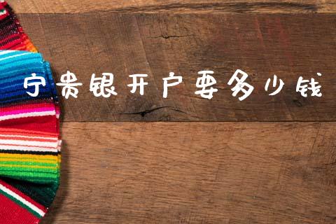 宁贵银开户要多少钱_https://wap.lxcailiao.com_财务管理_第1张