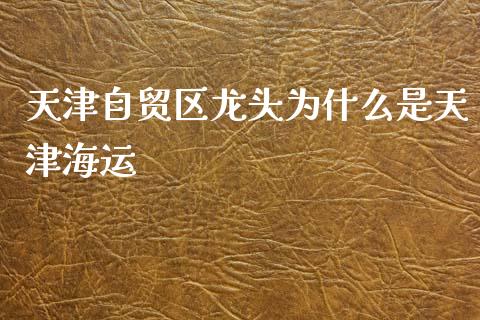 天津自贸区龙头为什么是天津海运_https://wap.lxcailiao.com_股权投资_第1张
