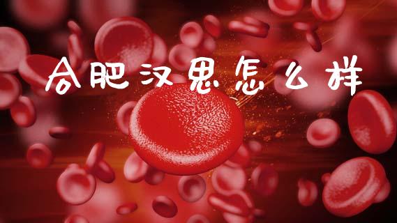合肥汉思怎么样_https://wap.lxcailiao.com_融资担保_第1张