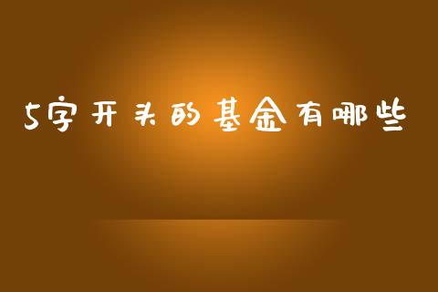 5字开头的基金有哪些_https://wap.lxcailiao.com_融资担保_第1张