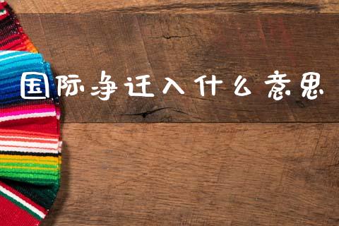 国际净迁入什么意思_https://wap.lxcailiao.com_金融监管_第1张