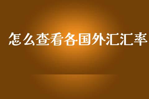 怎么查看各国外汇汇率_https://wap.lxcailiao.com_金融监管_第1张