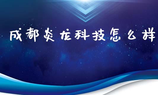 成都炎龙科技怎么样_https://wap.lxcailiao.com_融资担保_第1张