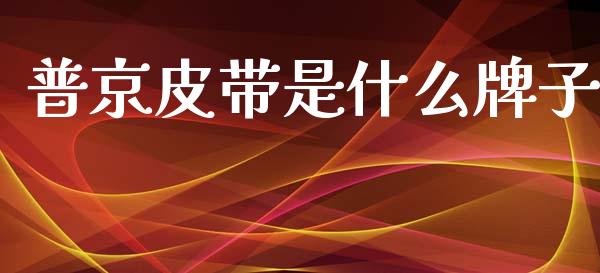 普京皮带是什么牌子_https://wap.lxcailiao.com_股权投资_第1张