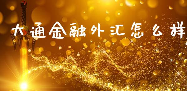 大通金融外汇怎么样_https://wap.lxcailiao.com_财务管理_第1张