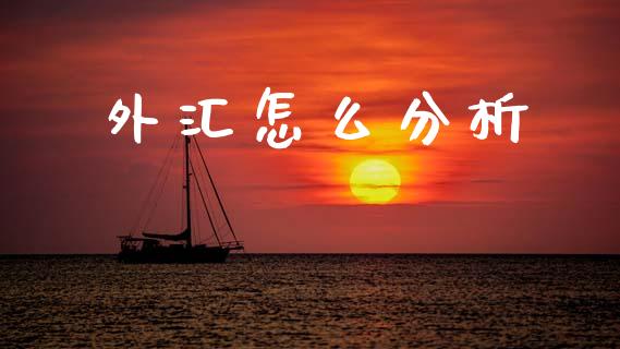 外汇怎么分析_https://wap.lxcailiao.com_股权投资_第1张