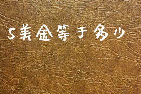 5美金等于多少_https://wap.lxcailiao.com_融资担保_第1张