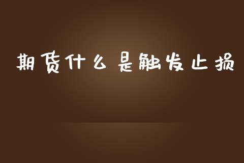 期货什么是触发止损_https://wap.lxcailiao.com_融资担保_第1张