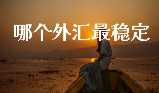 哪个外汇最稳定_https://wap.lxcailiao.com_融资担保_第1张