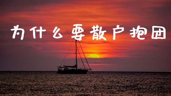 为什么要散户抱团_https://wap.lxcailiao.com_金融监管_第1张
