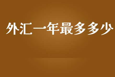 外汇一年最多多少_https://wap.lxcailiao.com_融资担保_第1张