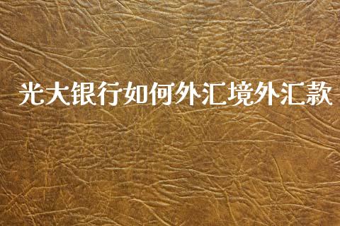 光大银行如何外汇境外汇款_https://wap.lxcailiao.com_股权投资_第1张