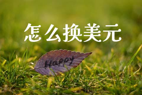 怎么换美元_https://wap.lxcailiao.com_财务管理_第1张