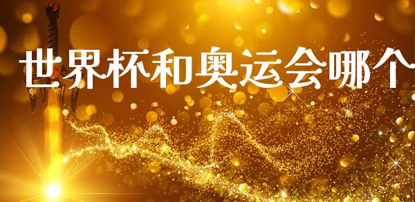 世界杯和奥运会哪个_https://wap.lxcailiao.com_融资担保_第1张