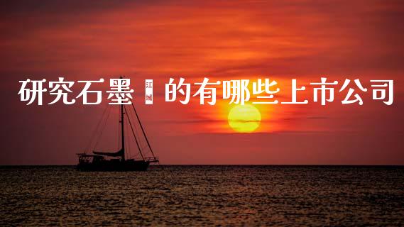 研究石墨烯的有哪些上市公司_https://wap.lxcailiao.com_金融监管_第1张