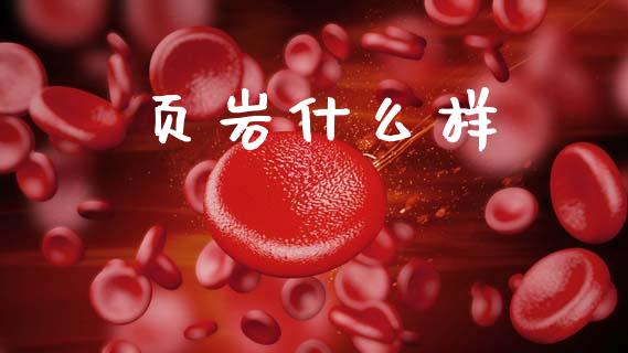 页岩什么样_https://wap.lxcailiao.com_财务管理_第1张