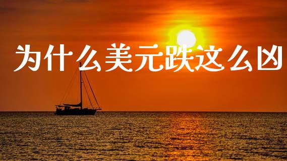 为什么美元跌这么凶_https://wap.lxcailiao.com_融资担保_第1张