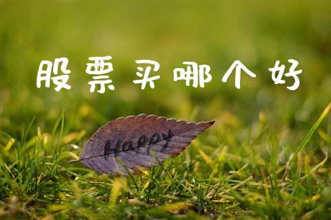 股票买哪个好_https://wap.lxcailiao.com_财务管理_第1张