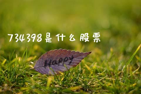 734398是什么股票_https://wap.lxcailiao.com_财务管理_第1张
