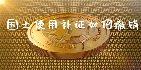 国土使用补证如何撤销_https://wap.lxcailiao.com_金融监管_第1张