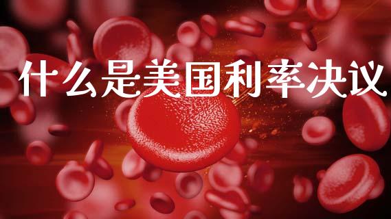 什么是美国利率决议_https://wap.lxcailiao.com_股权投资_第1张