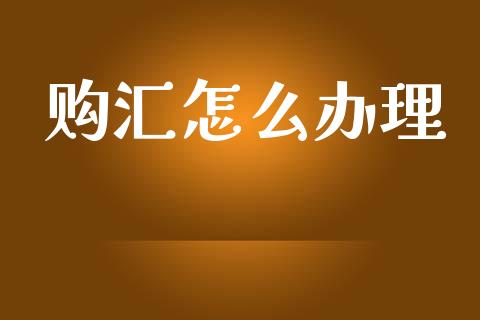 购汇怎么办理_https://wap.lxcailiao.com_金融监管_第1张