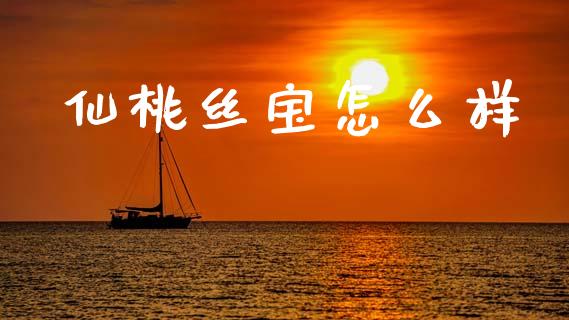 仙桃丝宝怎么样_https://wap.lxcailiao.com_财务管理_第1张