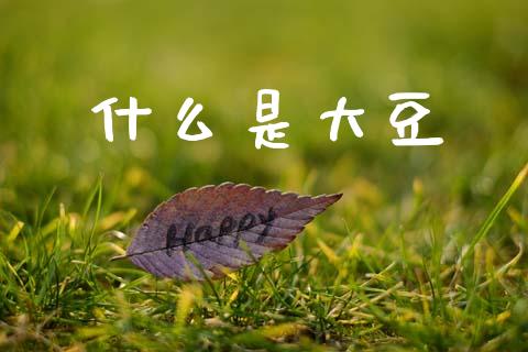 什么是大豆_https://wap.lxcailiao.com_财务管理_第1张