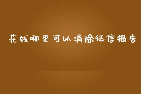 花钱哪里可以消除征信报告_https://wap.lxcailiao.com_金融监管_第1张