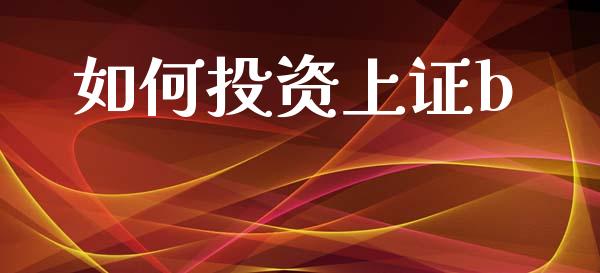 如何投资上证b_https://wap.lxcailiao.com_金融监管_第1张