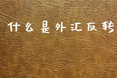 什么是外汇反转_https://wap.lxcailiao.com_金融监管_第1张