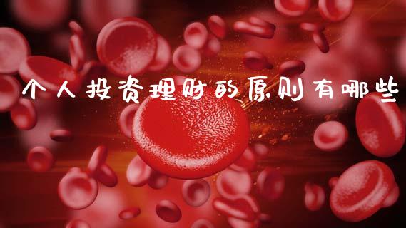 个人投资理财的原则有哪些_https://wap.lxcailiao.com_金融监管_第1张