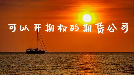 可以开期权的期货公司_https://wap.lxcailiao.com_融资担保_第1张