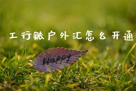 工行账户外汇怎么开通_https://wap.lxcailiao.com_金融监管_第1张