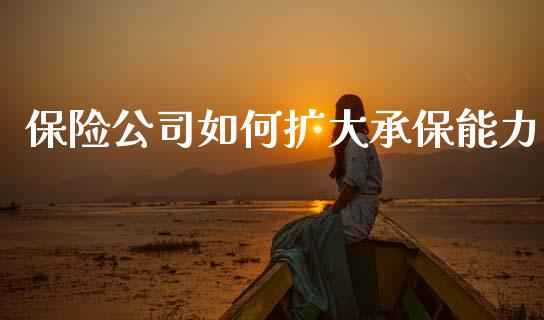 保险公司如何扩大承保能力_https://wap.lxcailiao.com_股权投资_第1张