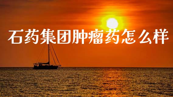 石药集团肿瘤药怎么样_https://wap.lxcailiao.com_股权投资_第1张