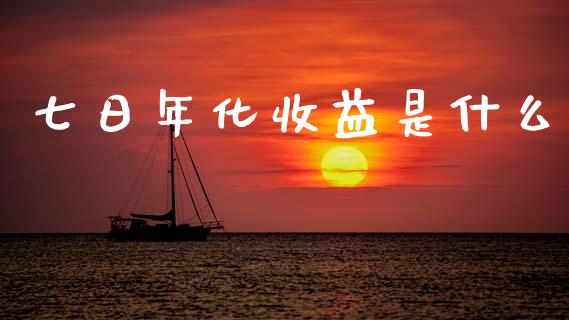 七日年化收益是什么_https://wap.lxcailiao.com_融资担保_第1张