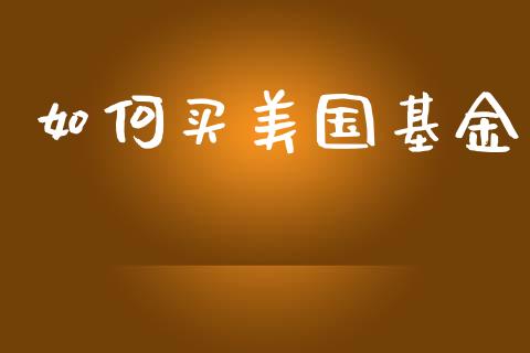 如何买美国基金_https://wap.lxcailiao.com_融资担保_第1张