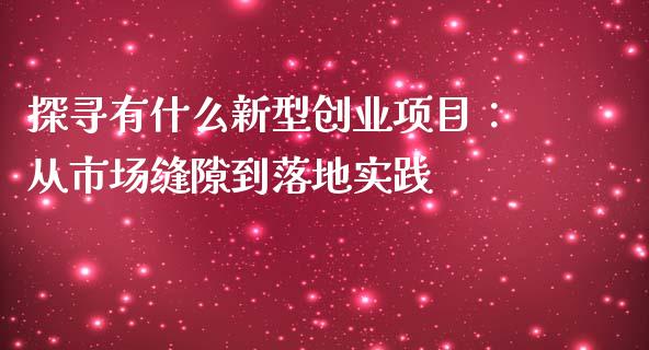探寻有什么新型创业项目：从市场缝隙到落地实践_https://wap.lxcailiao.com_融资担保_第1张