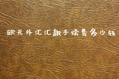 欧元外汇汇款手续费多少钱_https://wap.lxcailiao.com_股权投资_第1张