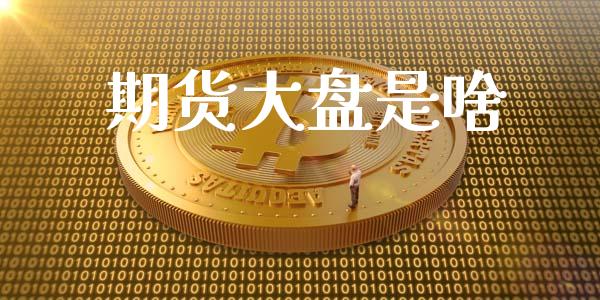 期货大盘是啥_https://wap.lxcailiao.com_融资担保_第1张