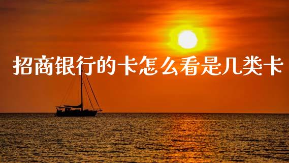 招商银行的卡怎么看是几类卡_https://wap.lxcailiao.com_融资担保_第1张