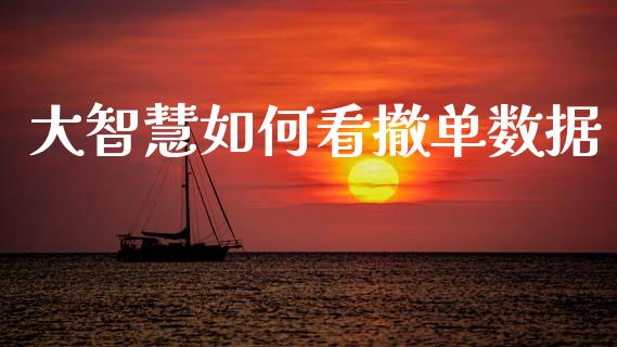 大智慧如何看撤单数据_https://wap.lxcailiao.com_金融监管_第1张