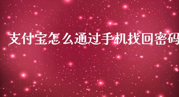 支付宝怎么通过手机找回密码_https://wap.lxcailiao.com_金融监管_第1张