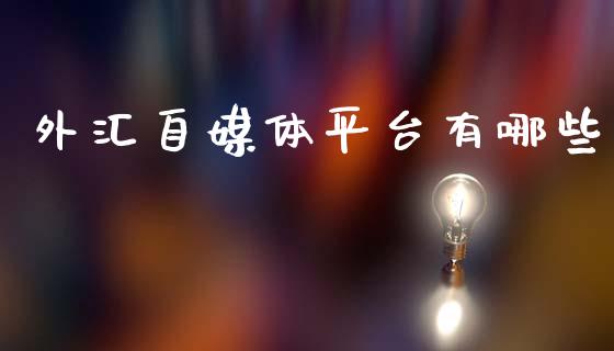 外汇自媒体平台有哪些_https://wap.lxcailiao.com_融资担保_第1张